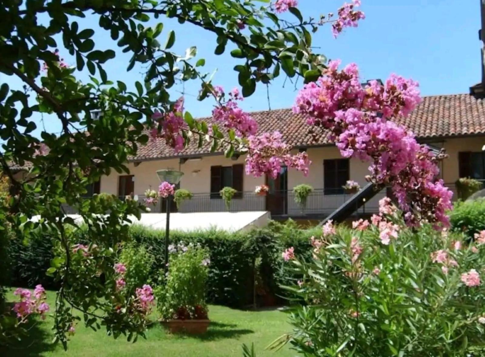 Oryza Guest House Desana Екстериор снимка